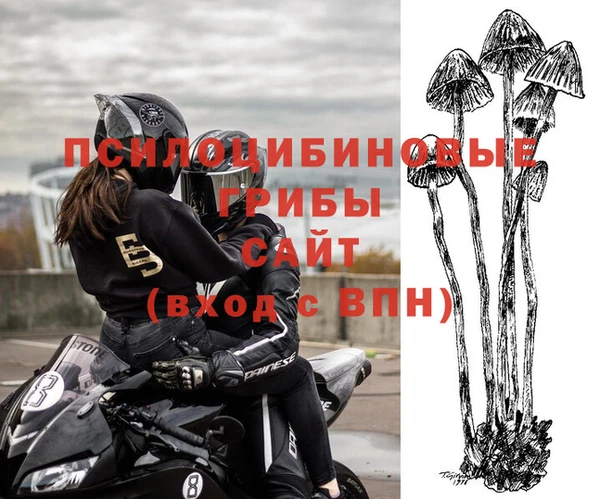 ALPHA-PVP Горнозаводск