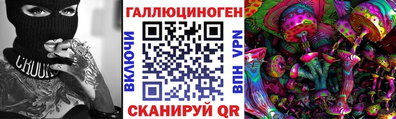 Купить  Кола  Галлюциногенные грибы Psilocybine cubensis 